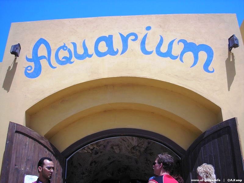 Aquarium p1010019